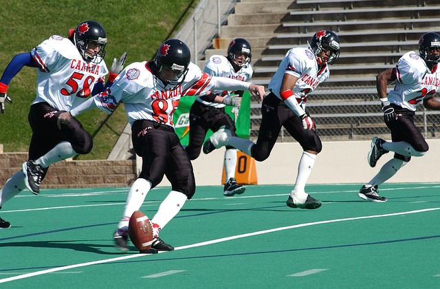 获了经验 获了经验