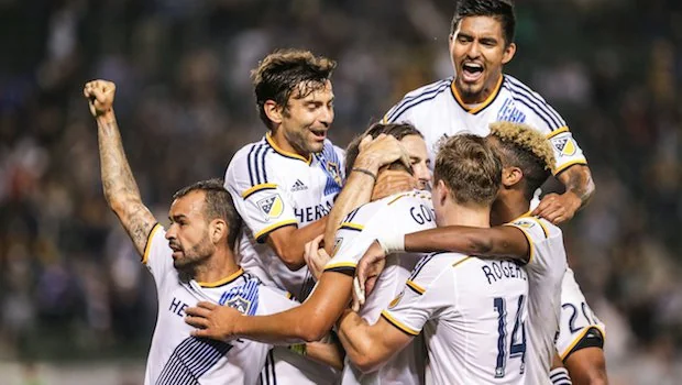 并呼吁对案 并呼吁对案