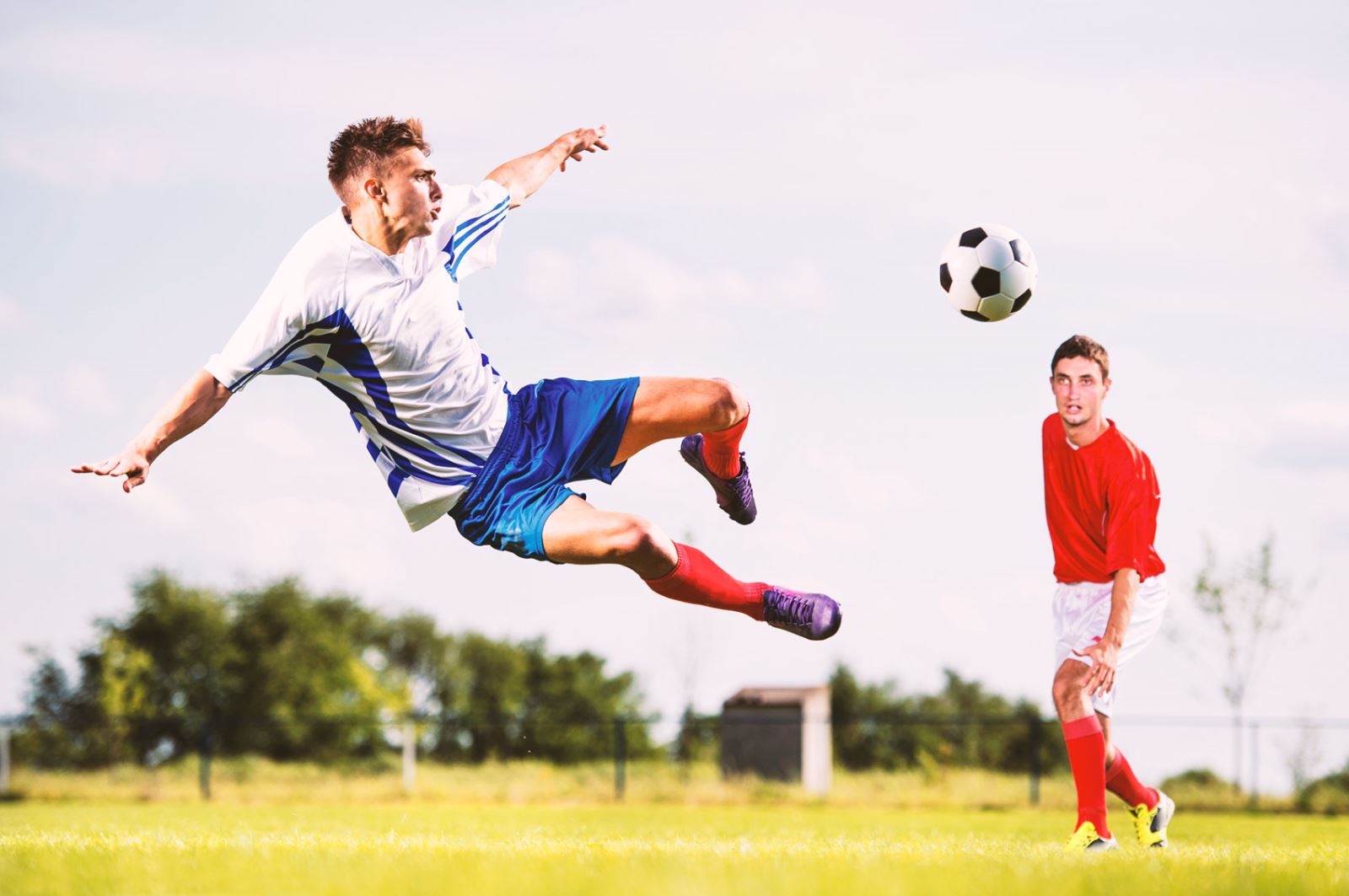 初被认为具 初被认为具